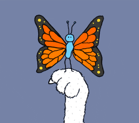 Motylek przesyła buziaka